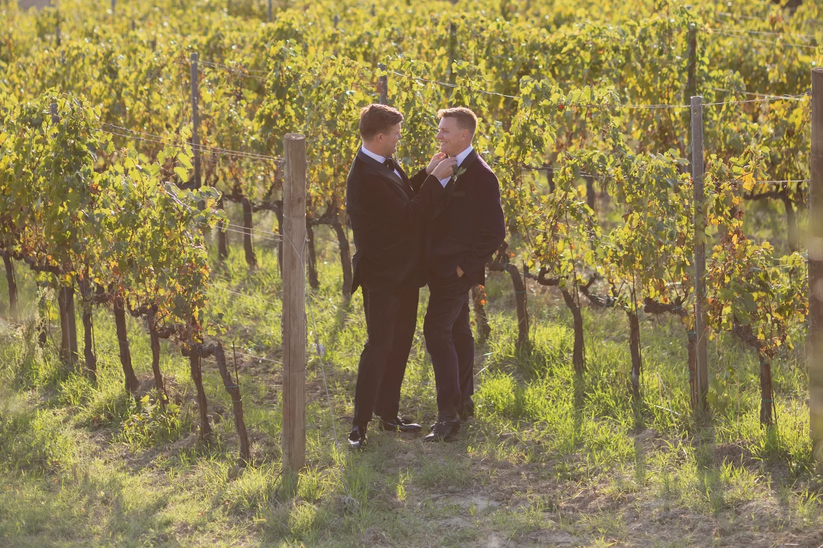 Couple In Vineyard