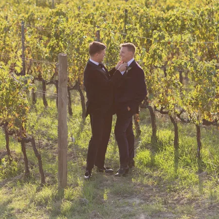 Couple In Vineyard