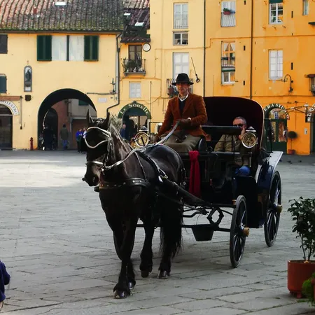 Lucca Carriage Piazza Amphiteater