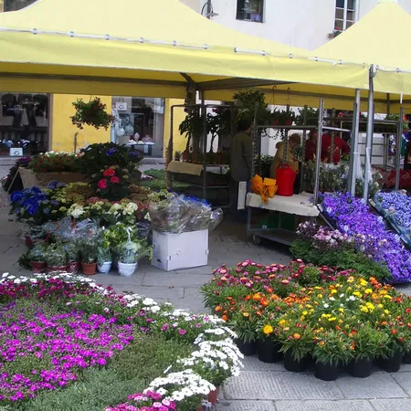 Lucca Santa Zita