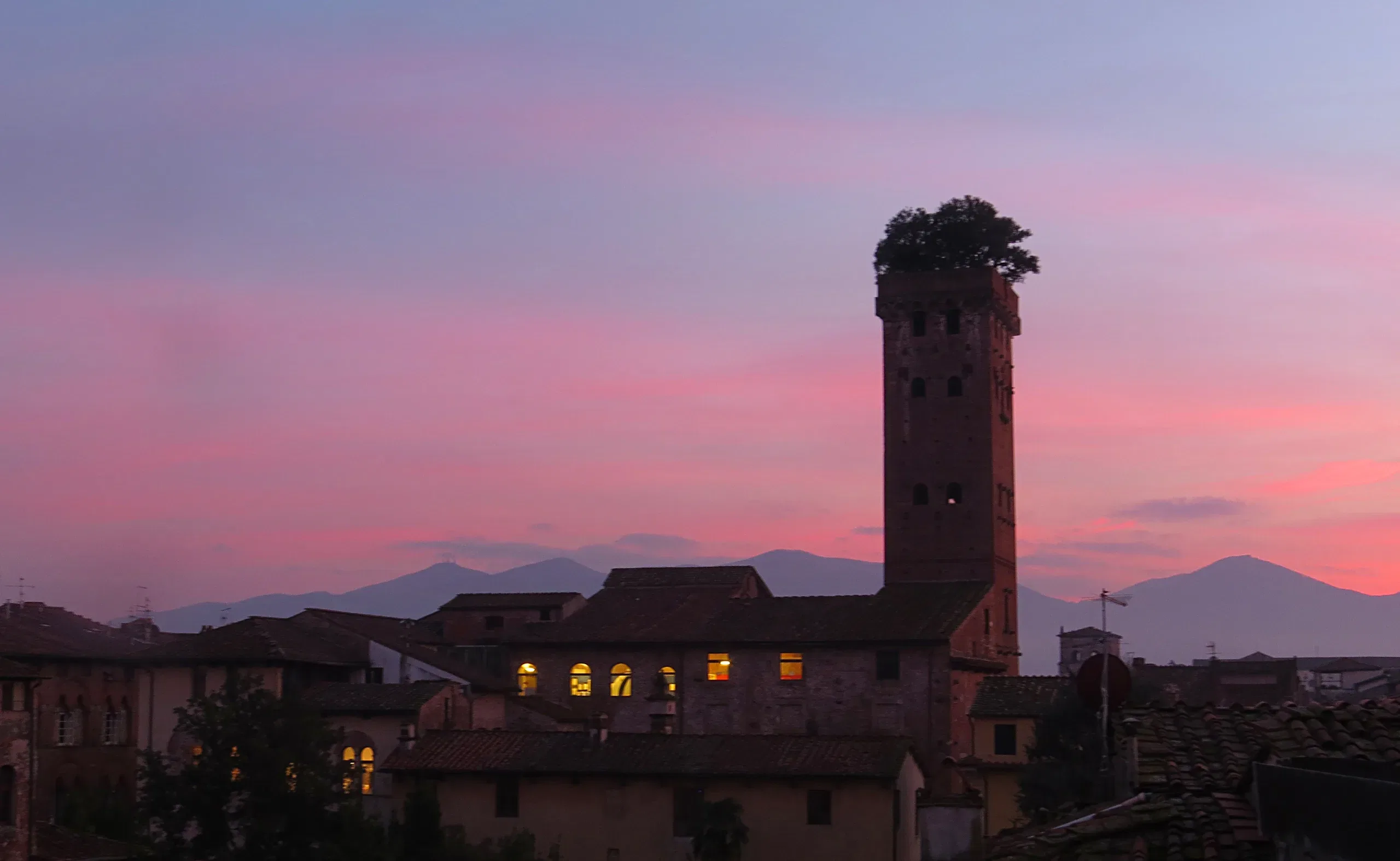 Lucca Torre Guinigi At Dusk