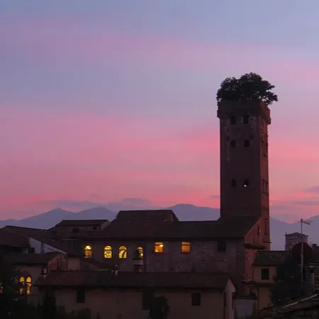 Lucca Torre Guinigi At Dusk