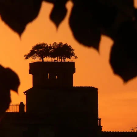 Lucca Torre Guinigi At Sunset